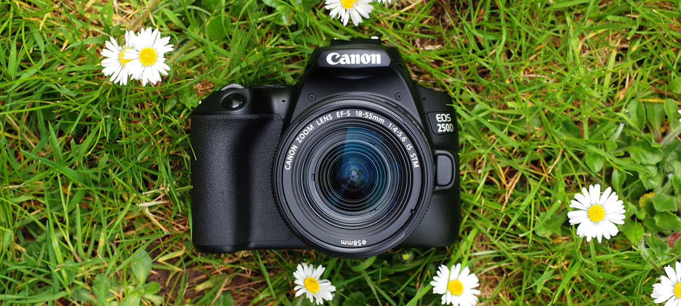 Mastering the Symphony: A Comprehensive Exploration of the Canon EOS 250D DSLR Camera